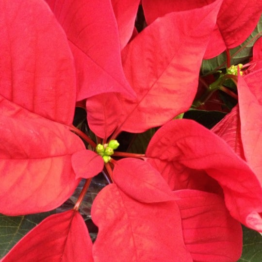 Photos at The Home Depot Hardware Store in Indianapolis