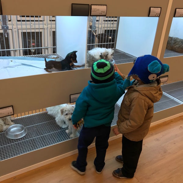 Puppies of Westport Pet Supplies Store