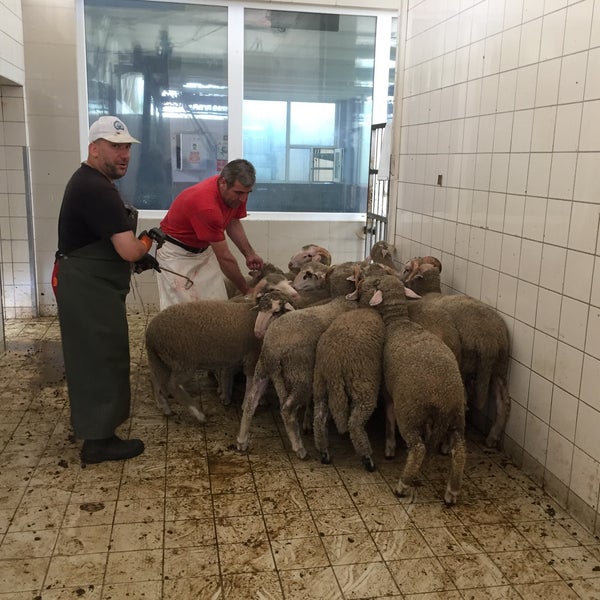 Bursam Et eTBa Et Kombinası Bursa�da Fabrika