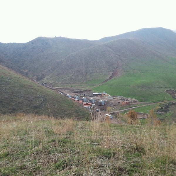Казахстан карабулак
