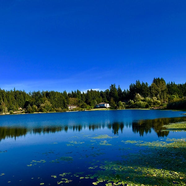 Женщина в черном и другие мистические истории. Призрак озера стоу. Озеро фантомов. Ульяновск санаторий белое озеро. Фантом озера.