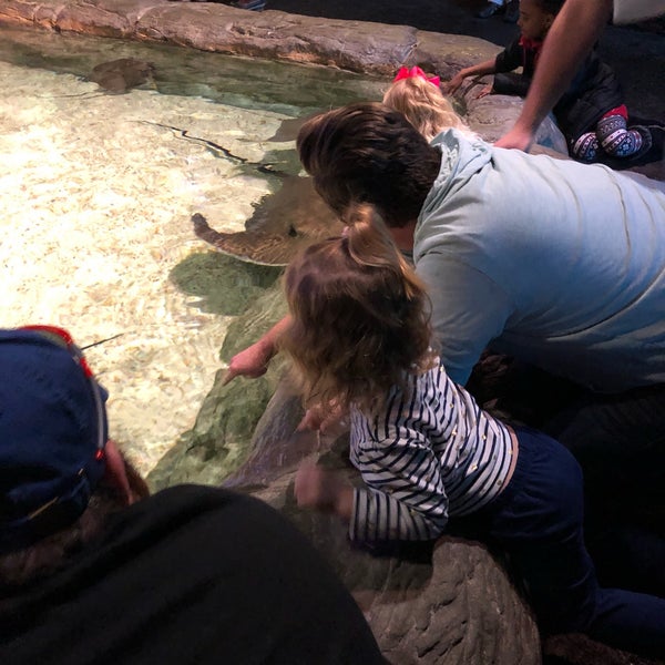 Photo taken at Ripley&#39;s Aquarium by Debbie A. on 1/20/2019