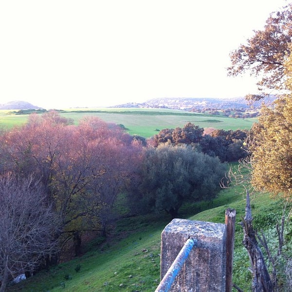 Alcolea Alcolea, Andalucía