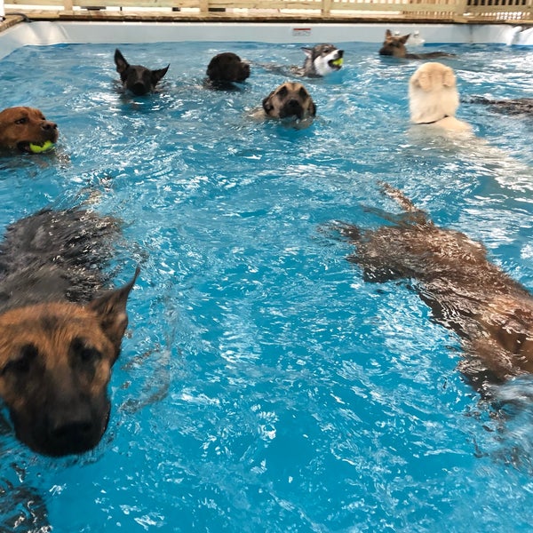 Peebles Play & Stay Kennel 1 tip from 11 visitors