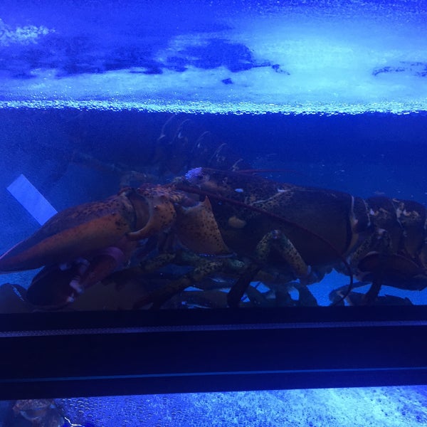 Das Foto wurde bei Burger &amp; Lobster von Rick H. am 12/20/2014 aufgenommen