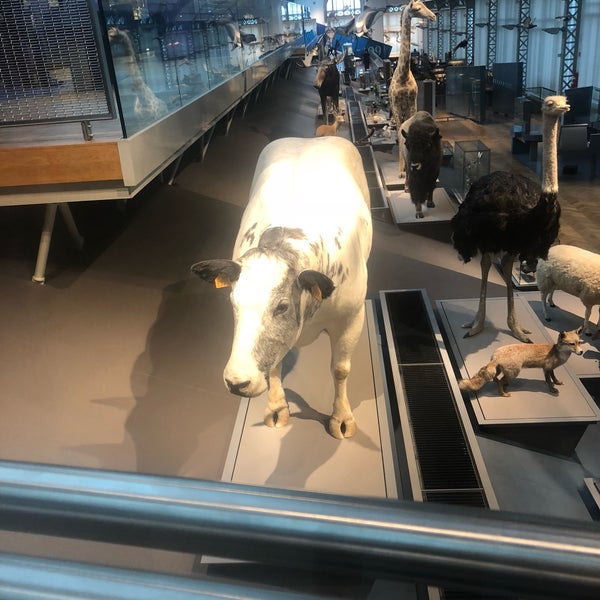 Photo taken at Museum of Natural Sciences by Dylan M. on 5/8/2019