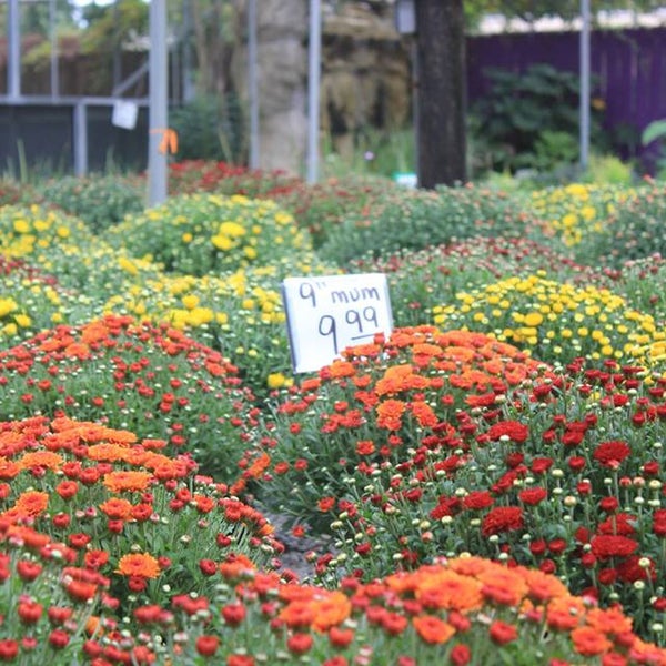 floral tree gardens nursery pensacola fl