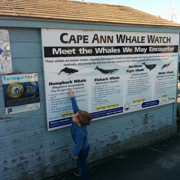 Foto diambil di Cape Ann Whale Watch oleh Dale S. pada 7/25/2014