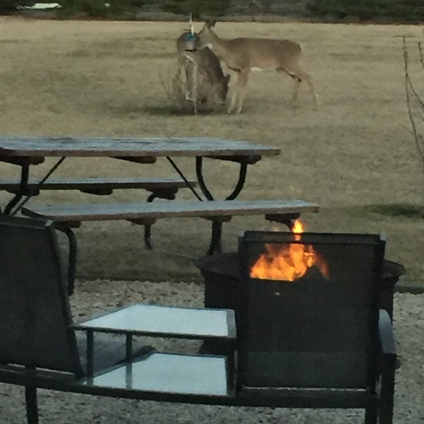 Century 21 Advanced Realty 1 tip from 5 visitors