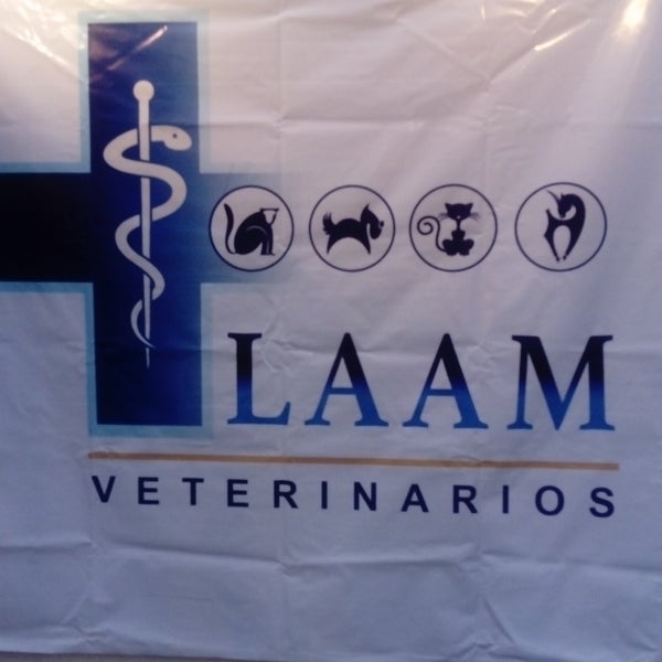 Песня Laam Petite