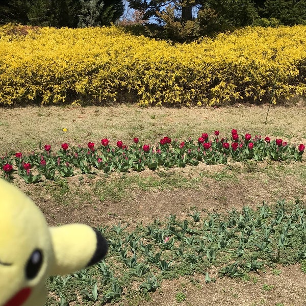 Photos At 馬見丘陵公園 バラ園 Garden