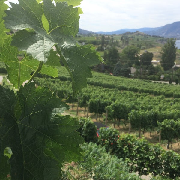 Laughing Stock Winery Winery in Penticton