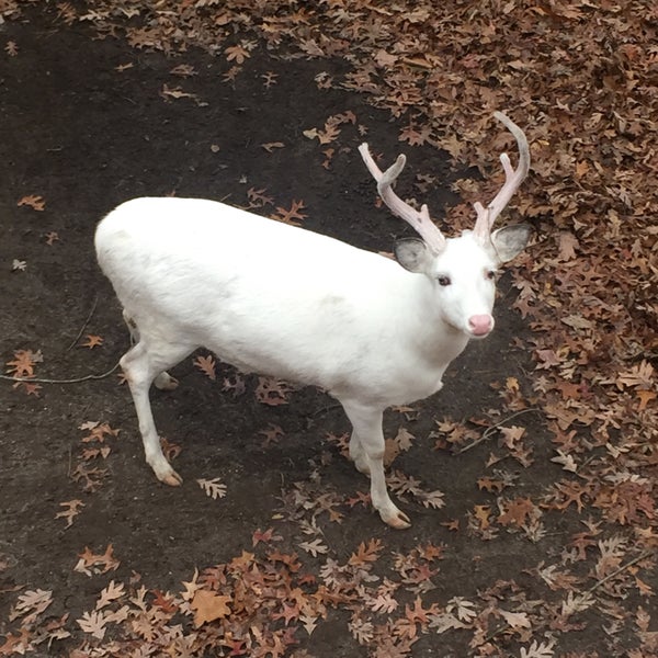 Foto tirada no(a) Cape May County Zoo Society por Annamarie em 12/6/2016