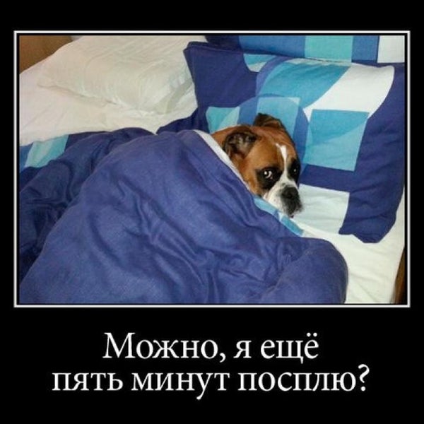 10 минут спать. про сон. ещё пять минут. 10 минут спать.