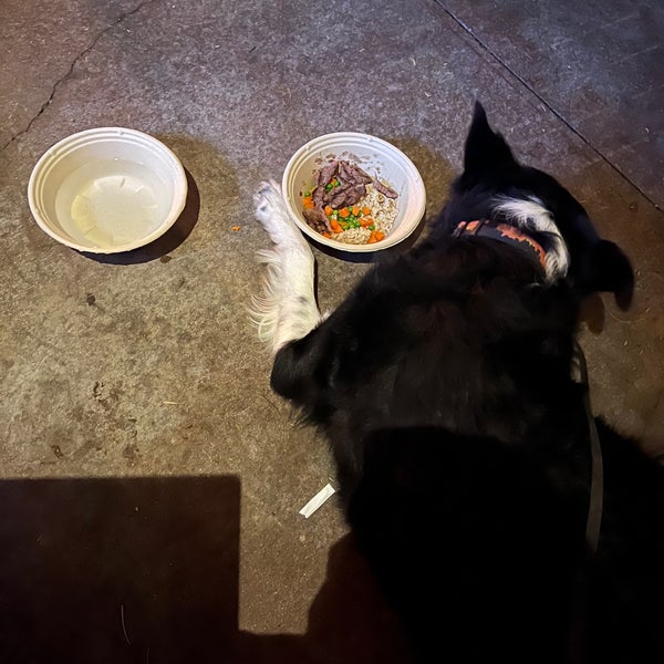 Lazy Dog Restaurant & Bar Rancho Cucamonga, CA