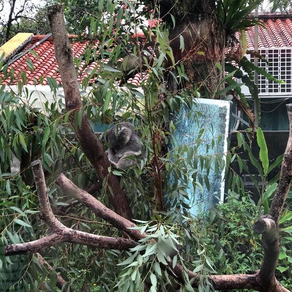 Photos At 無尾熊館 Zoo Exhibit In Wenshan Qu