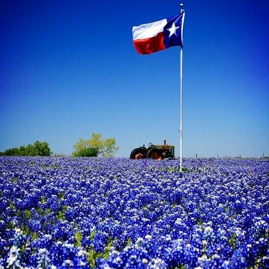 Foto scattata a Plano, TX da Debbie F. il 5/14/2013