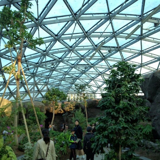 大温室 4 Tips From 1405 Visitors