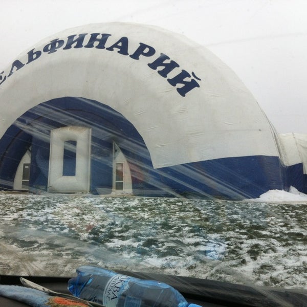 Дельфинарий в волгограде расписание. Дельфинарий снаружи. Дельфинариум в волгограде. Дельфинарий в волгограде расписание. Дельфинарий волгоград.