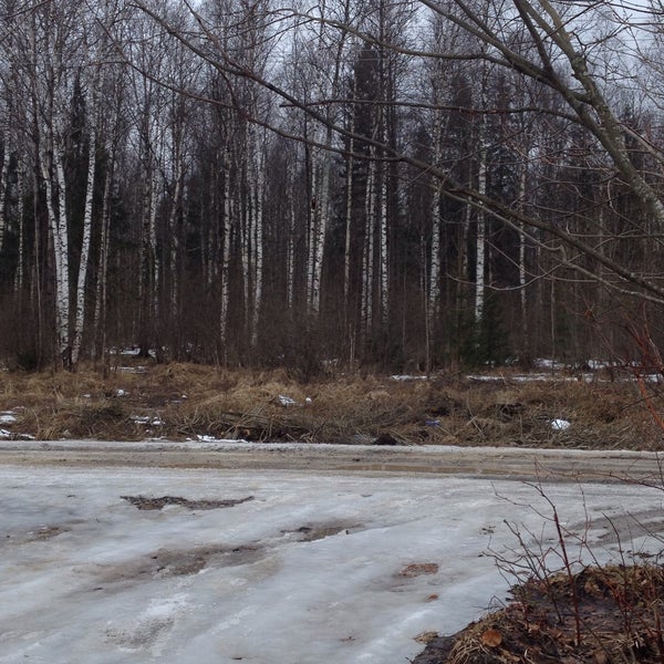 новая жизнь снт василеостровец