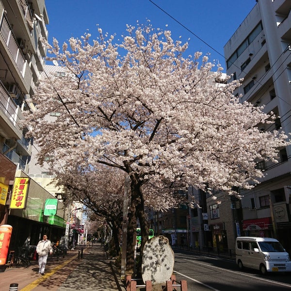 Photos At 千川上水 桜の記念碑 Memorial Site