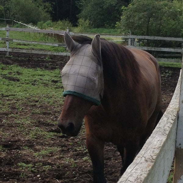 Kettle Drum Farm Southbury, CT