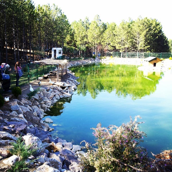 Yeşil Vadi Çankaya�da Orman