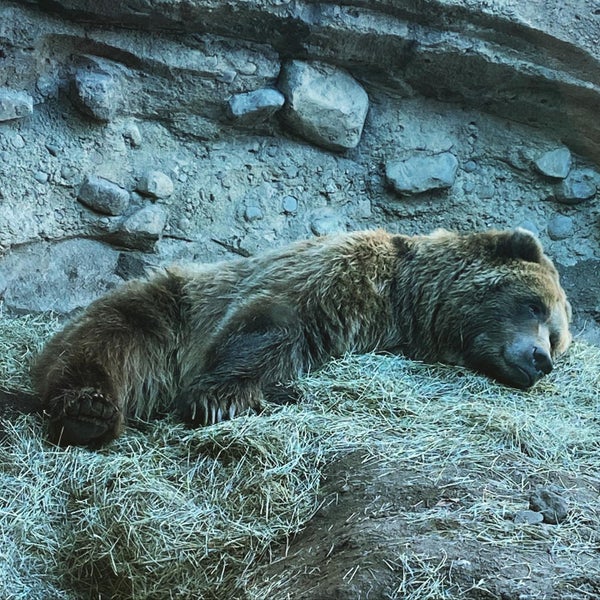 Photo taken at Minnesota Zoo by John G. on 10/16/2021