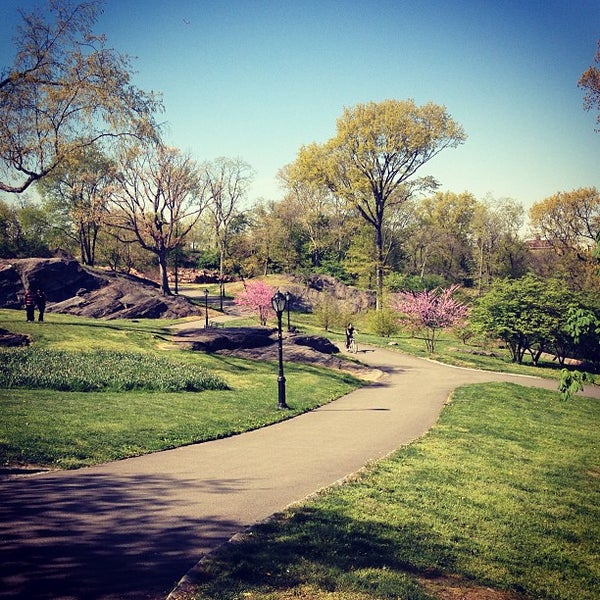 NORTH MEADOW FIELD MAP visual data 5