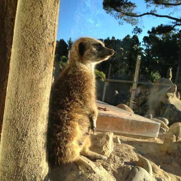 Photo taken at Wellington Zoo by David W. on 4/1/2013