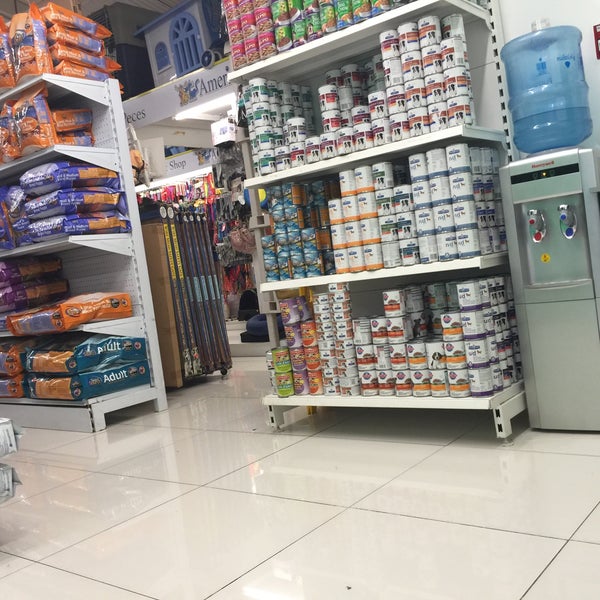 american pet store