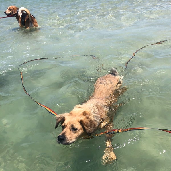 Porpoise Point Beach in St Augustine