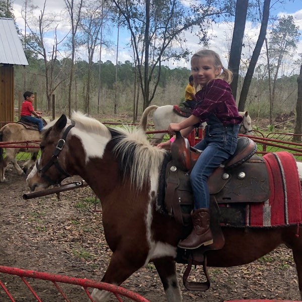 Diamond D Ranch Farm