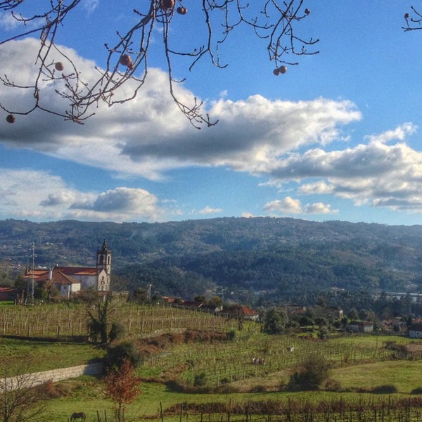 Quinta Casal do Paço Vineyard