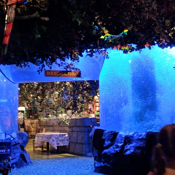 Photos At Rainforest Cafe 35 Tips