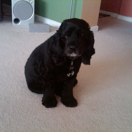 Timber Creek Plantation Yulee, FL