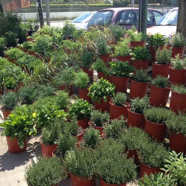 Rorabecks Plants and Produce 24 tips from 345 visitors