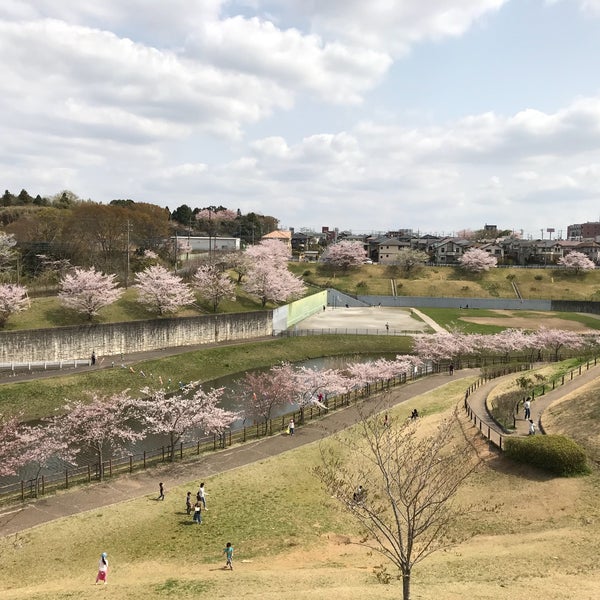 Photos At 公津の杜公園 成田市 公津の杜6 9