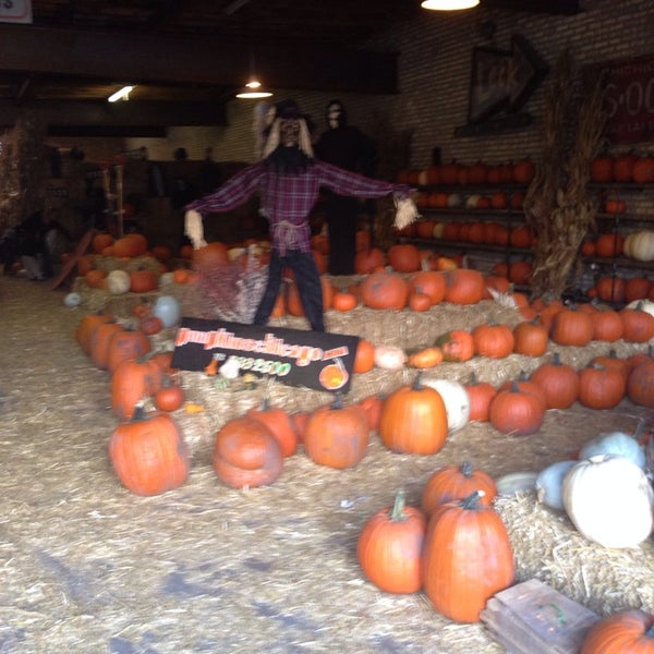 Pumpkin patch nightmare before christmas Pumpkin patch nightmare before christmas