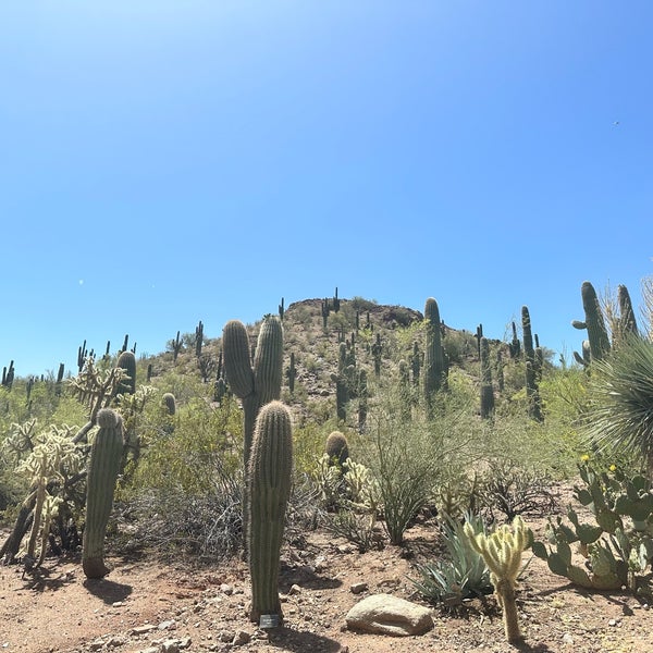 Photo taken at Desert Botanical Garden by Emma G. on 4/26/2023