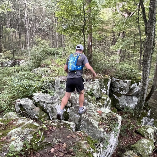 Frozen Head State Park State / Provincial Park