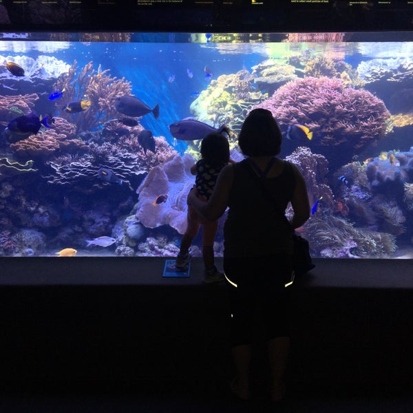 Photo taken at Waikiki Aquarium by Roman A. on 11/18/2019