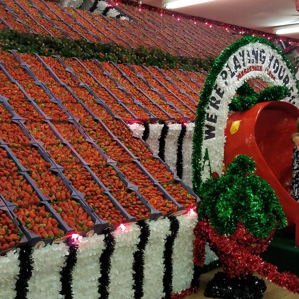 Goodson Farms Strawberry Fields 5 tips