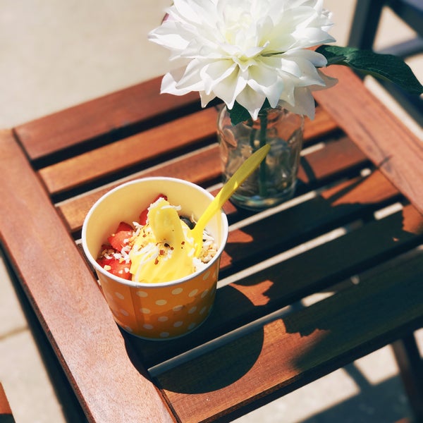 Yogurt 101 Frozen Yogurt Shop in Solana Beach