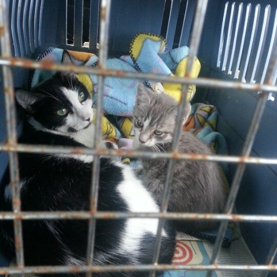 bensons pet center locations
