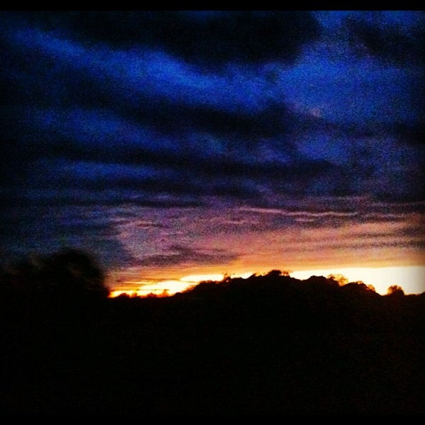 Reeds Spring 1 tip from 193 visitors