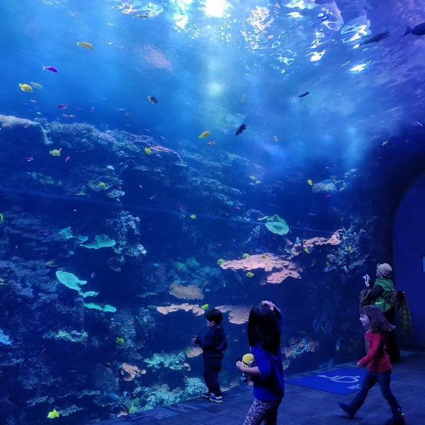 Foto tirada no(a) Georgia Aquarium por Florence_city em 12/10/2017