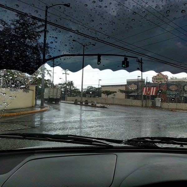 Lady Musgrave Road Kingston, Kingston