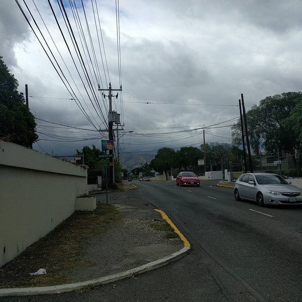 Lady Musgrave Road Kingston, Kingston