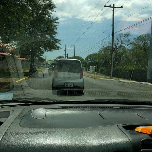 Lady Musgrave Road Kingston, Kingston